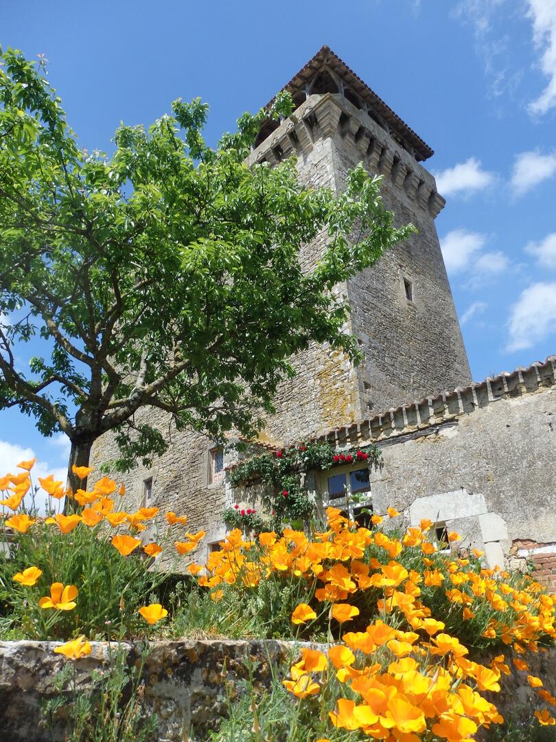 Donjon de Bazoges-en-Pareds