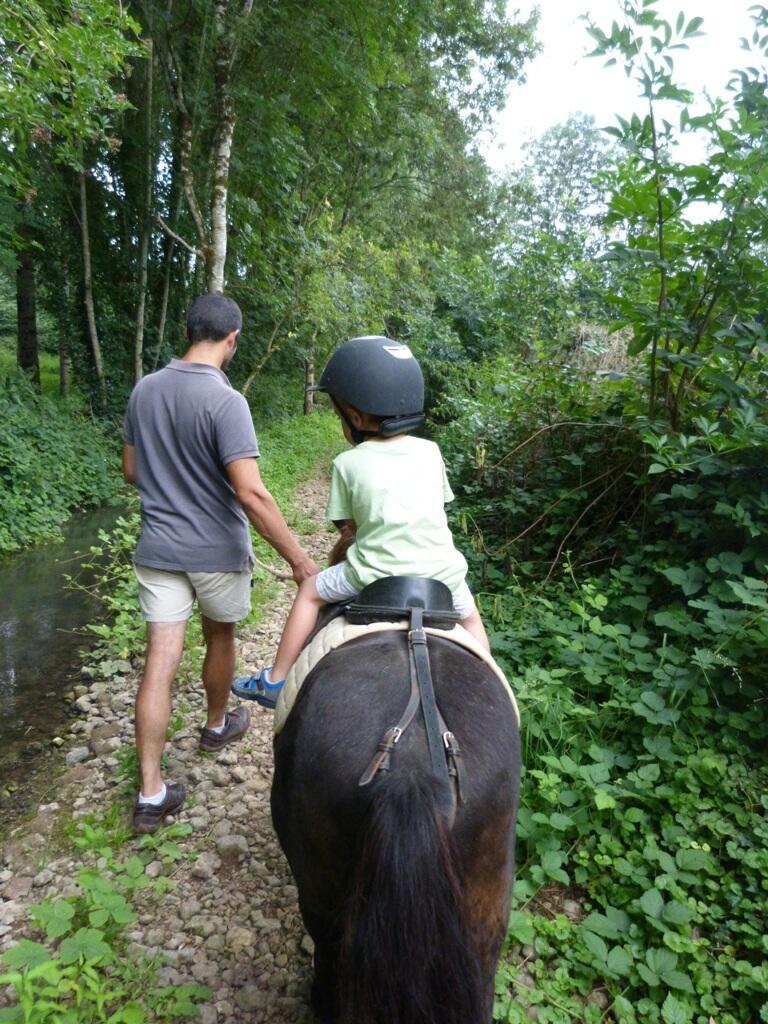 ecole-du-cheval-serzais-st-hilaire-des-loges-85-hlo