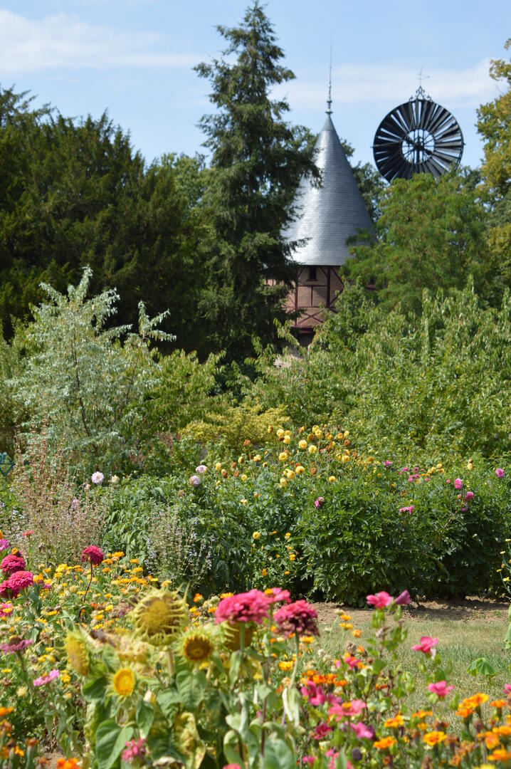 Jardin Potager