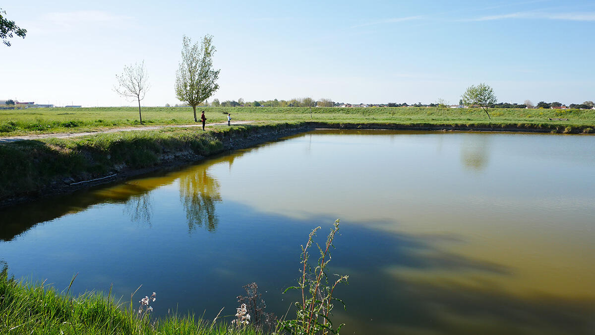 Plan d'eau de pêche
