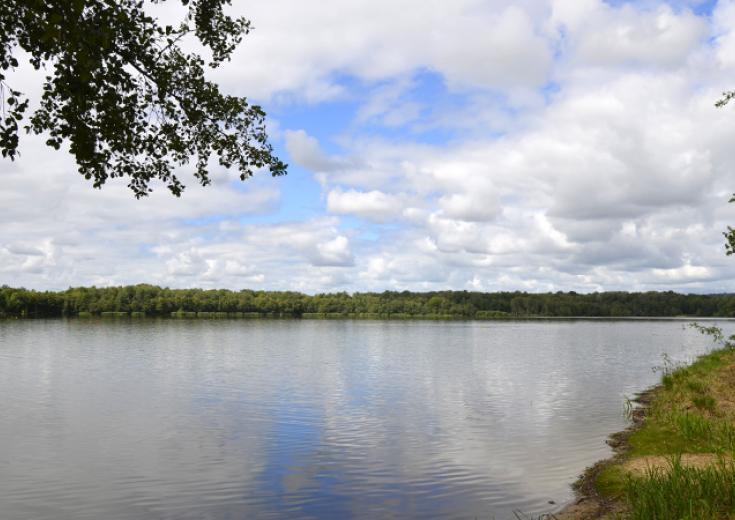 etang-du-gue-de-selle-dans-les-coevrons