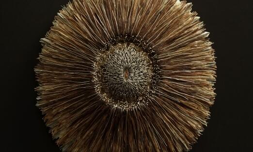 expo rHistoires Naturelles ©Cathy Hirchenhahn