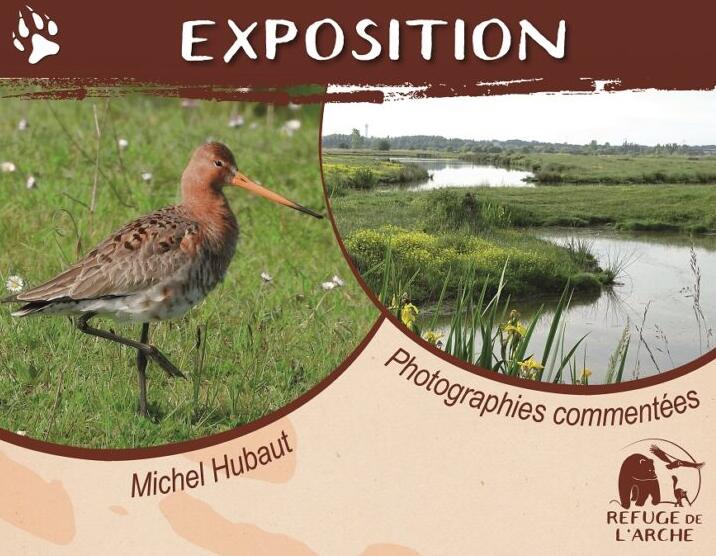 expo refuge