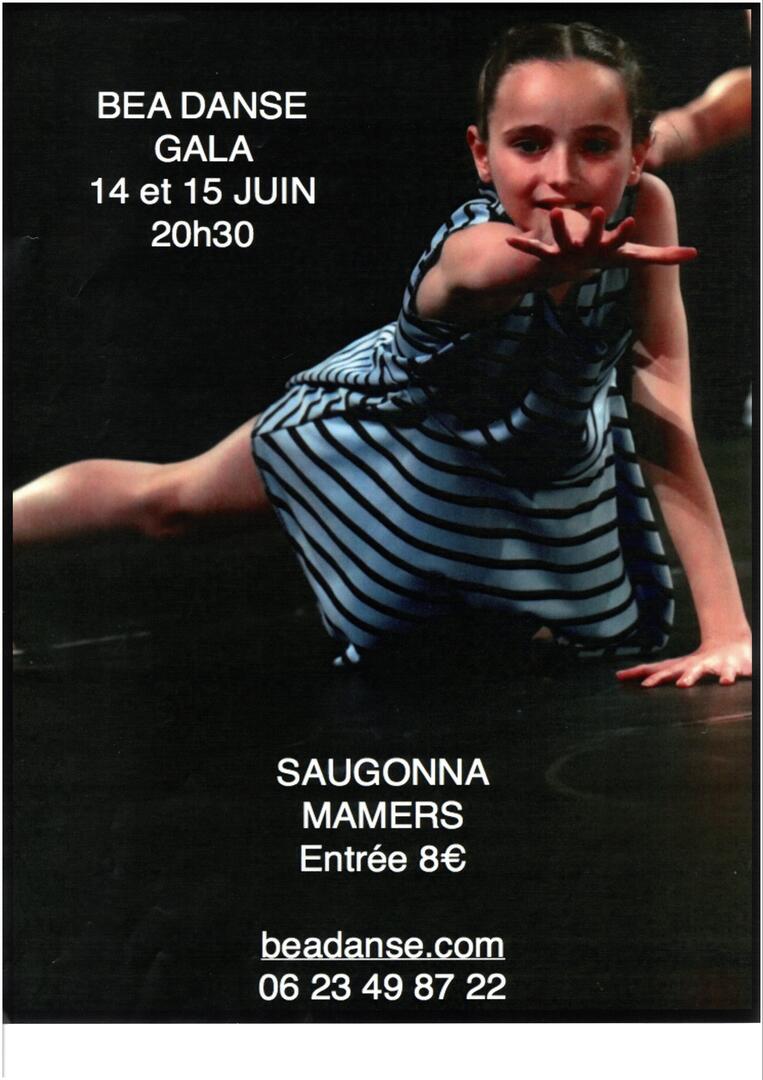 gala-danse-bea-danse
