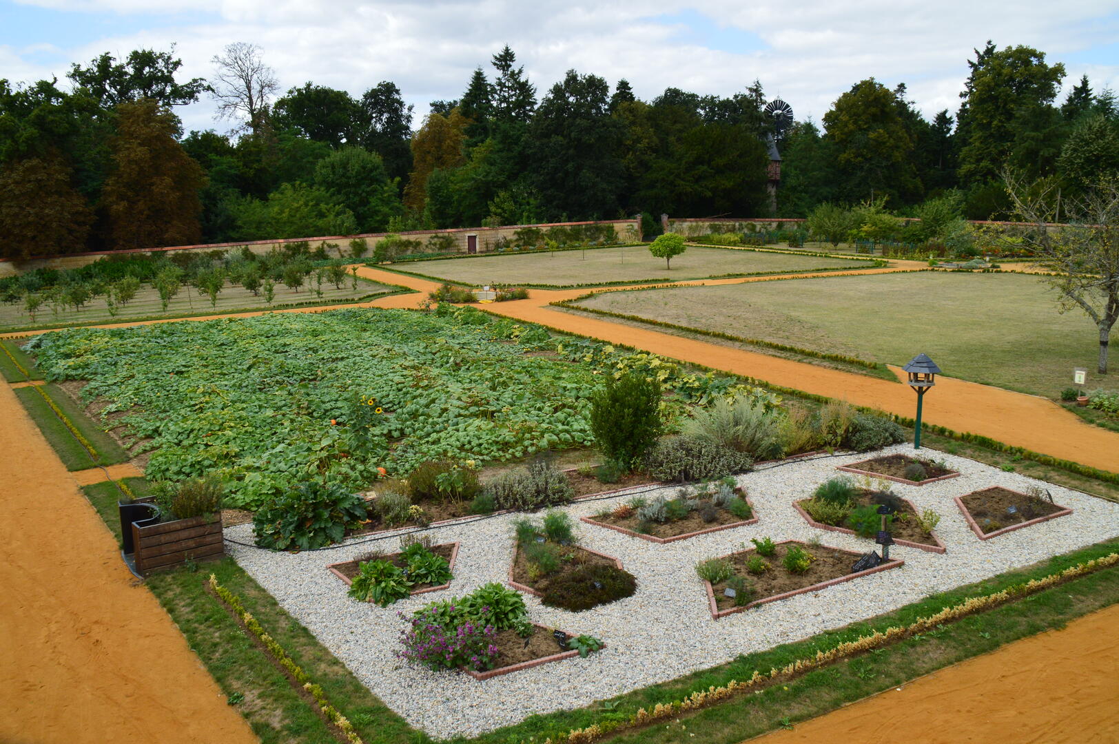 jardin potager