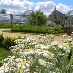 Jardin Potager Bonnétable