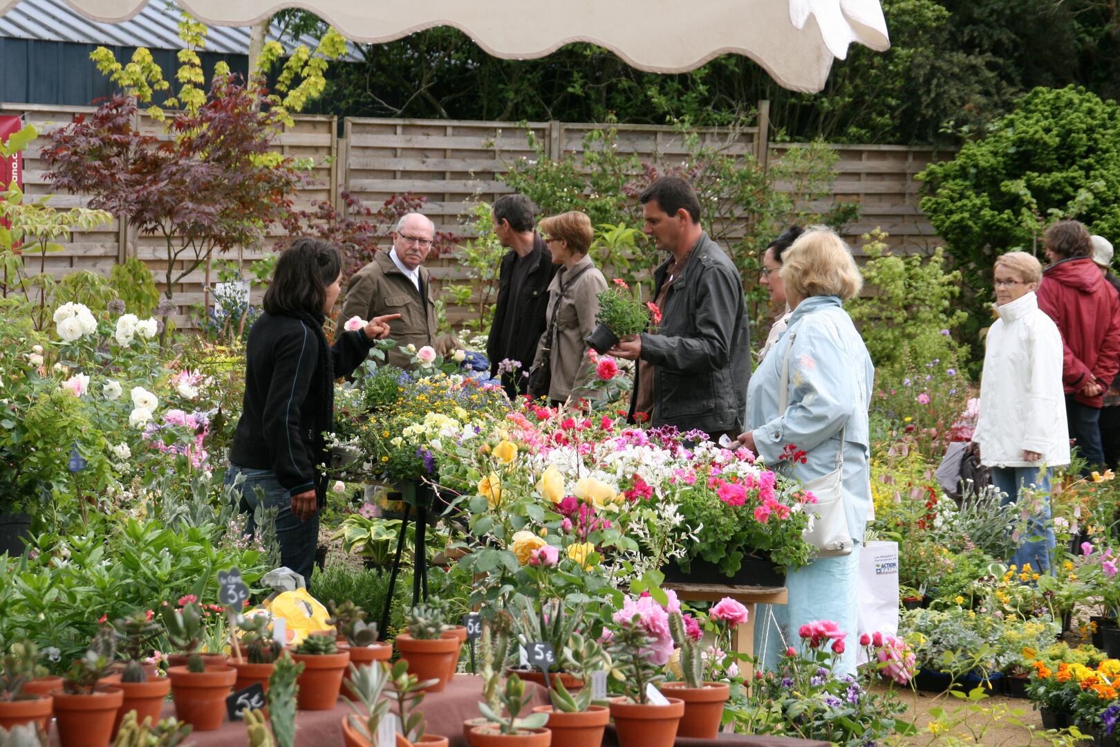 p15 Renaudies Marché Plantes 080511 (33)