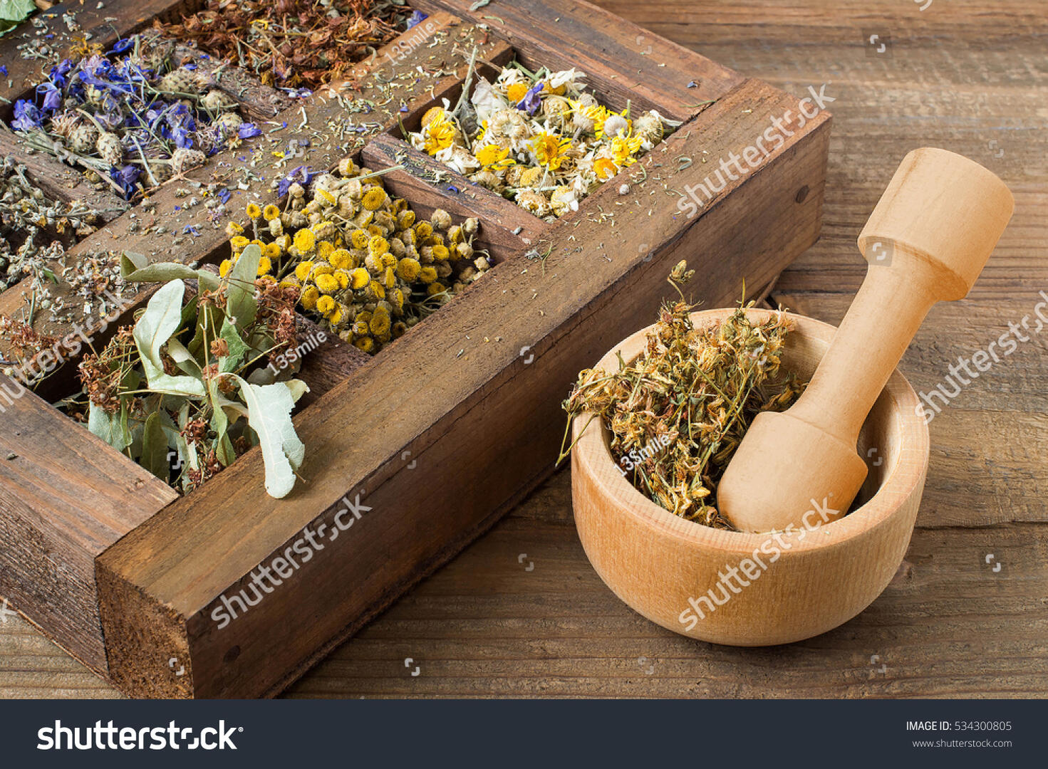 phytotherapie-2