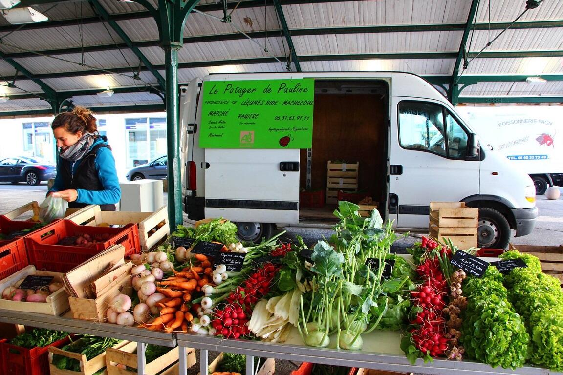potager-pauline-machecoul-saint-meme-44-deg-1