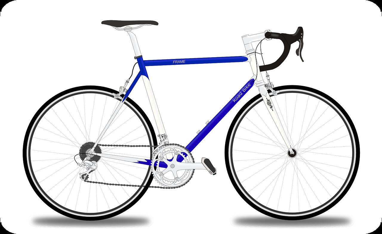 La Grenouille bleue de Damvix location de vélo