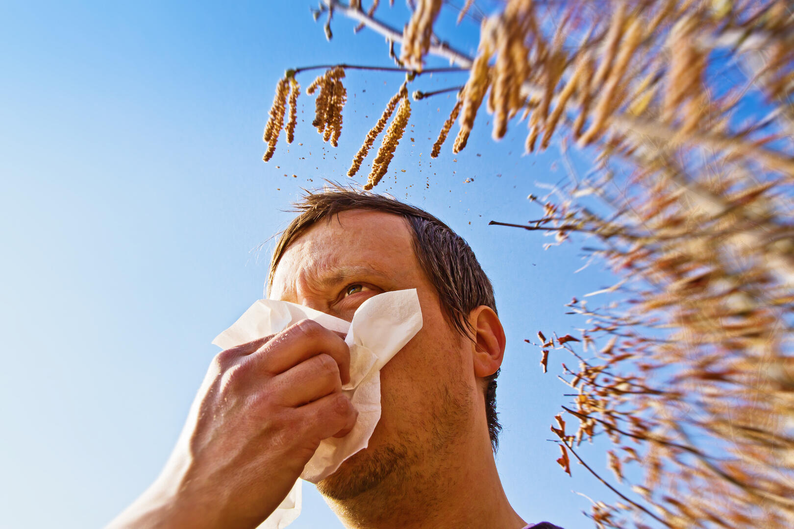 Soulager les allergies naturellement