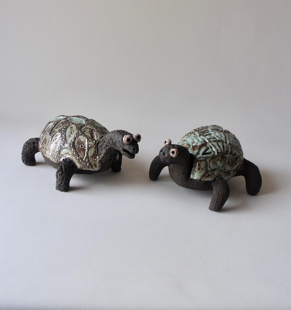 4-cornut-_tortues-
