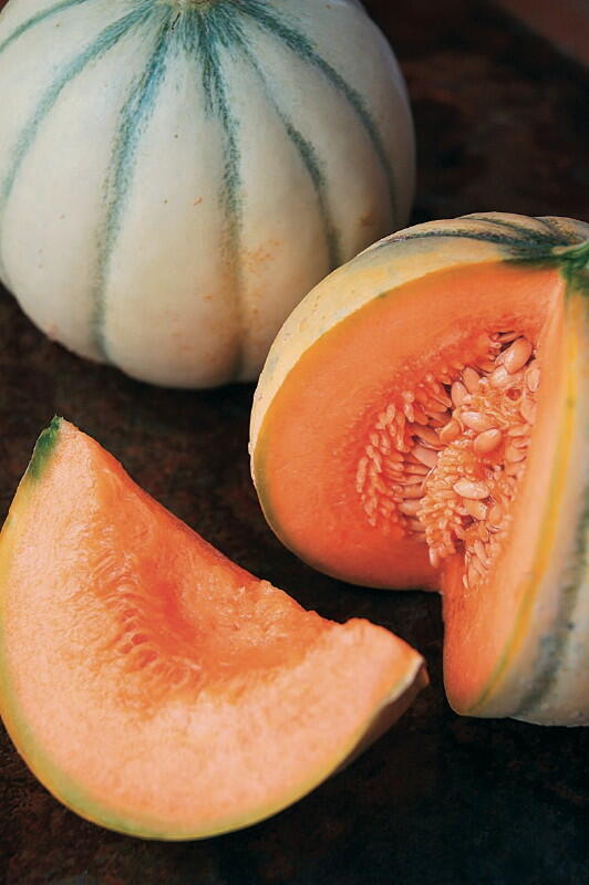 Melon du Quercy