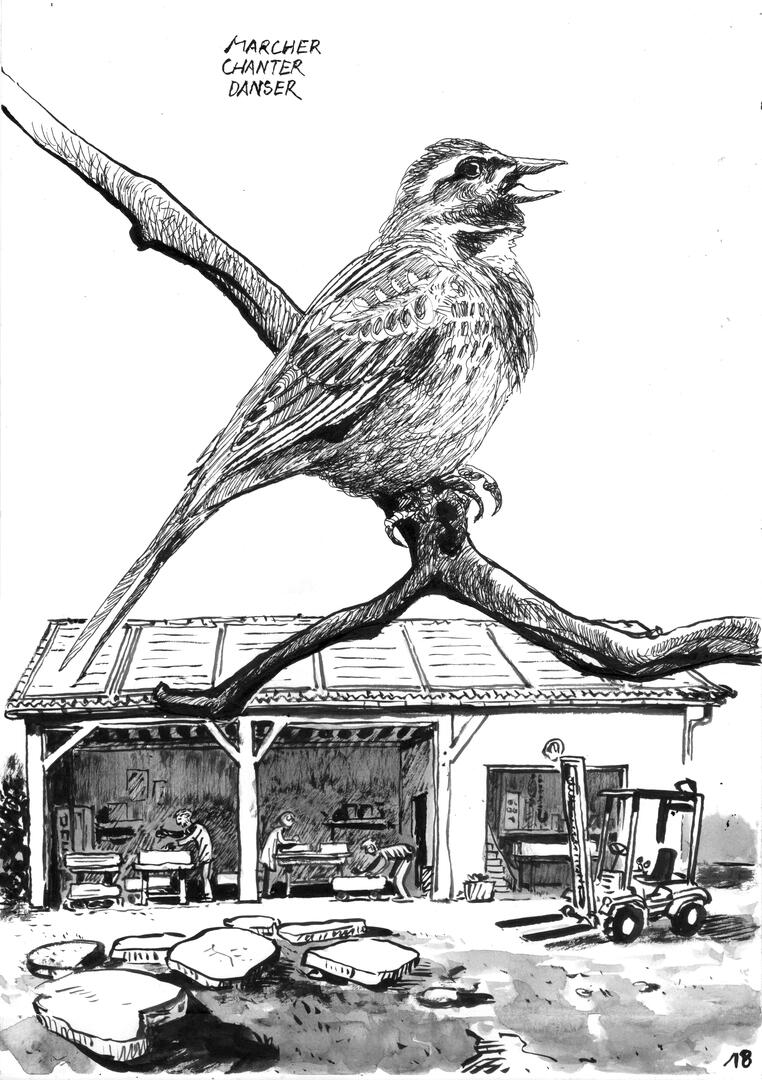 1avril_Oiseau Chemin-livre p18
