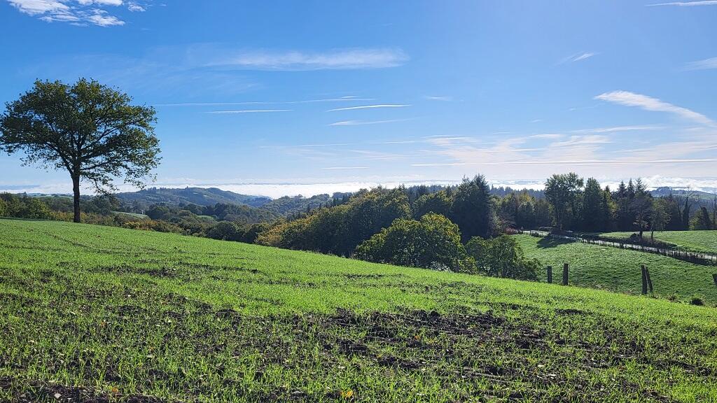Vue sur le Ségala