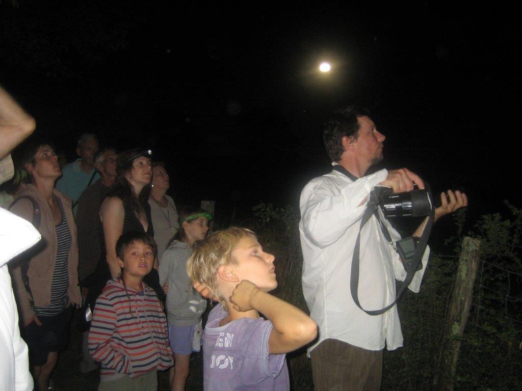 25_08_2022-nuit_chauve-souris-rnr_marais_Bonnefont