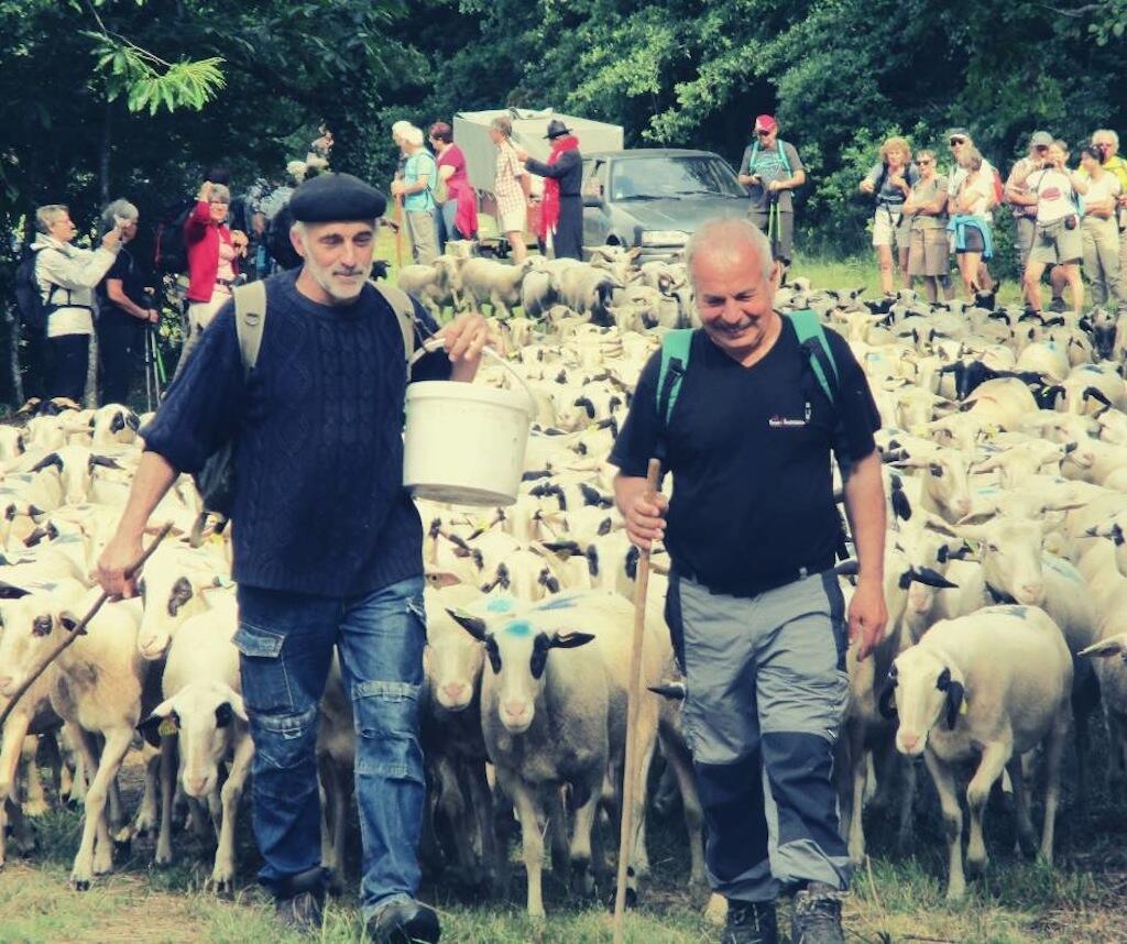 transhumance 4