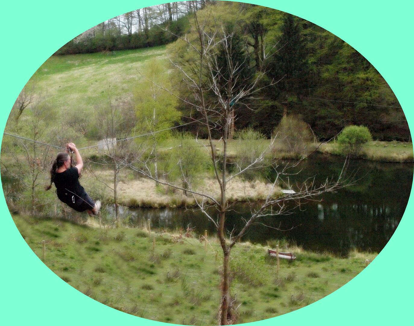 Voyage dans les arbres