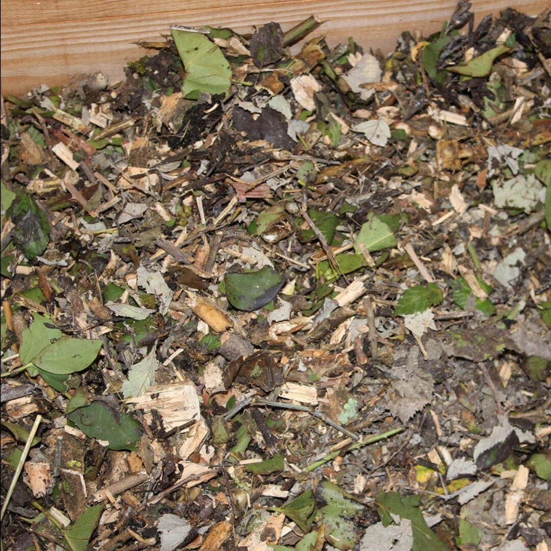compost