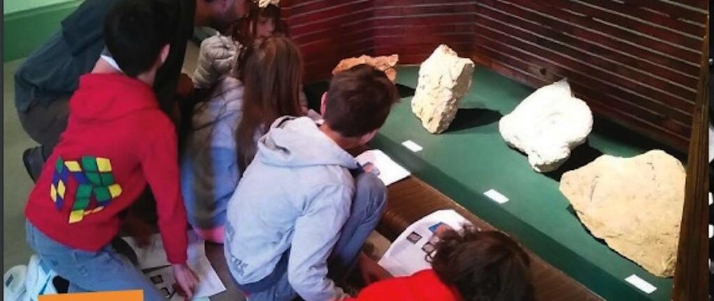 visite enfant dino et les fossiles