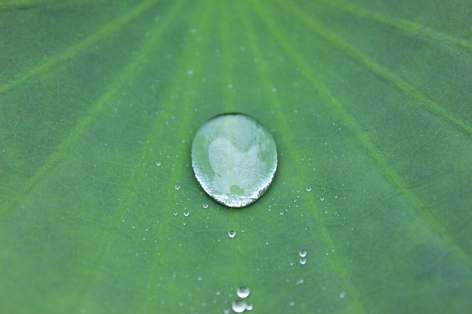 Goutte d'eau