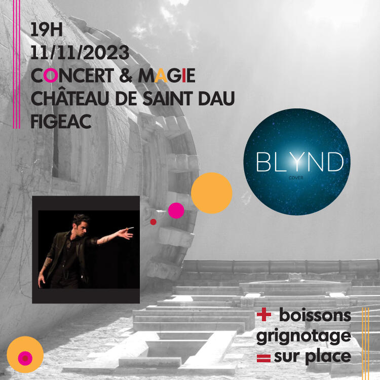 web-concert-magie-chateau-saint-dau
