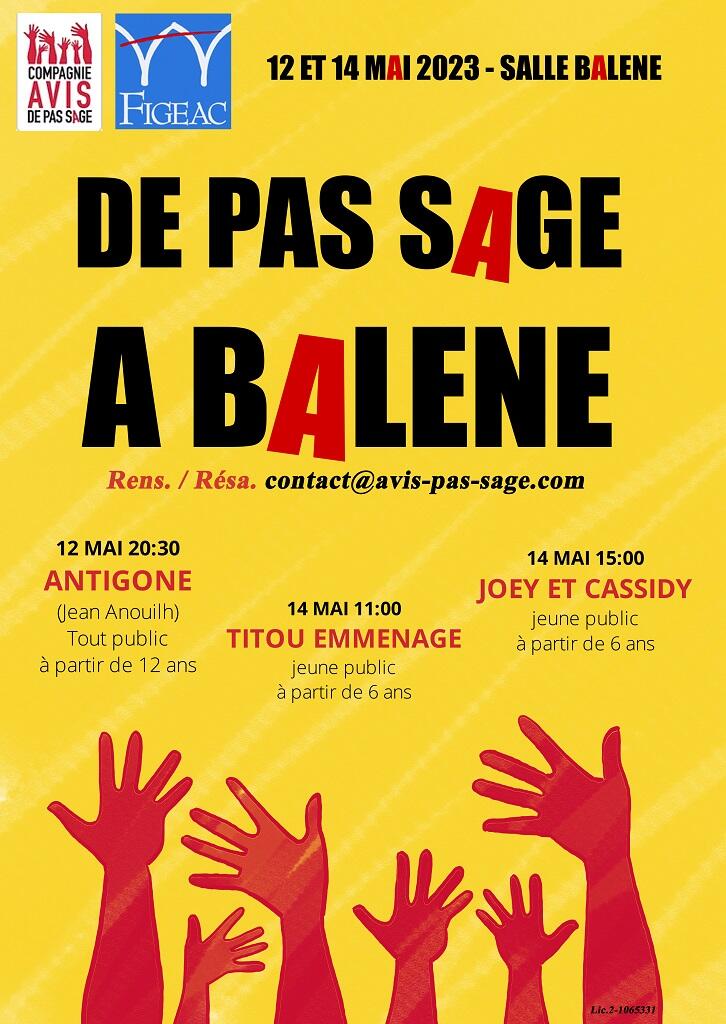 Affiche Pas sage a baleine