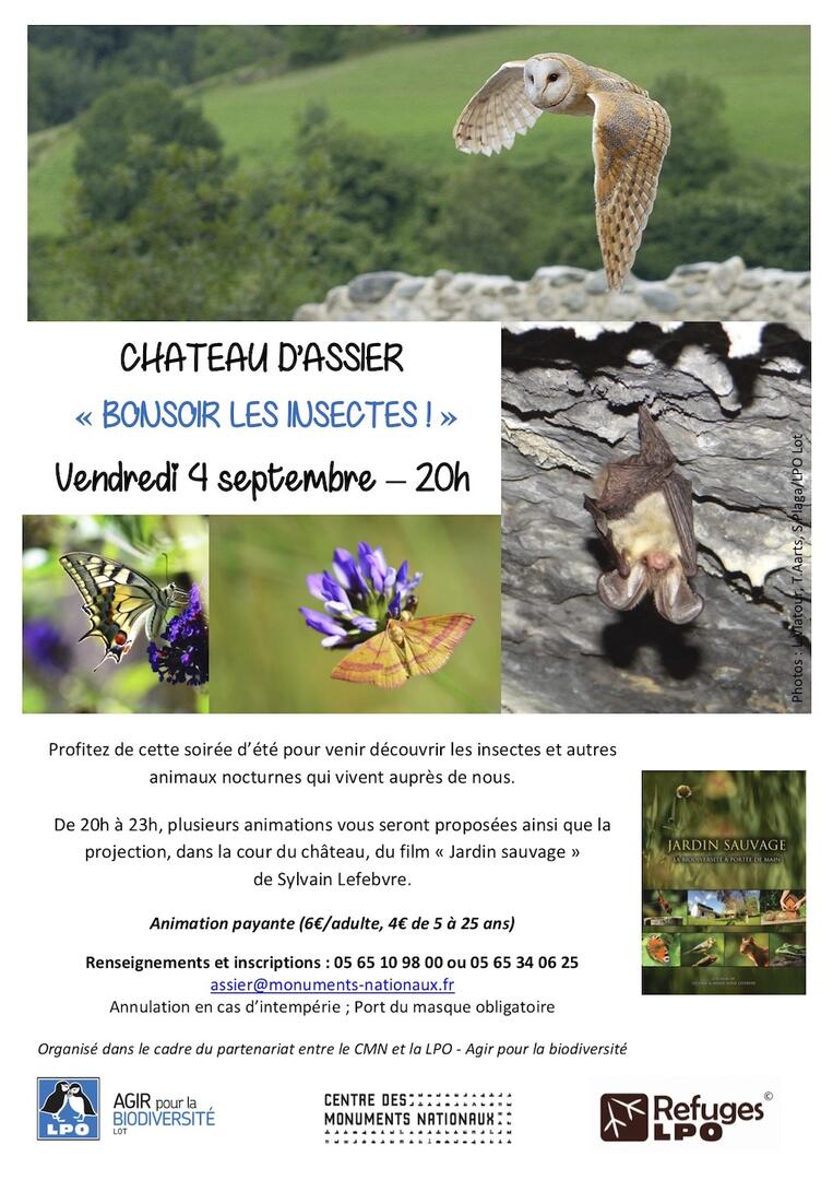 Affiche Soirée Bonsoir les insectes_4sept20_v2