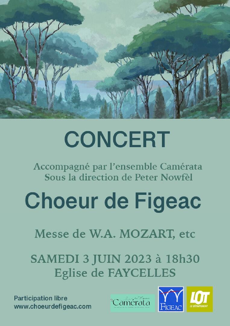 Affiche concert Faycelles pour web 3 juin 2023