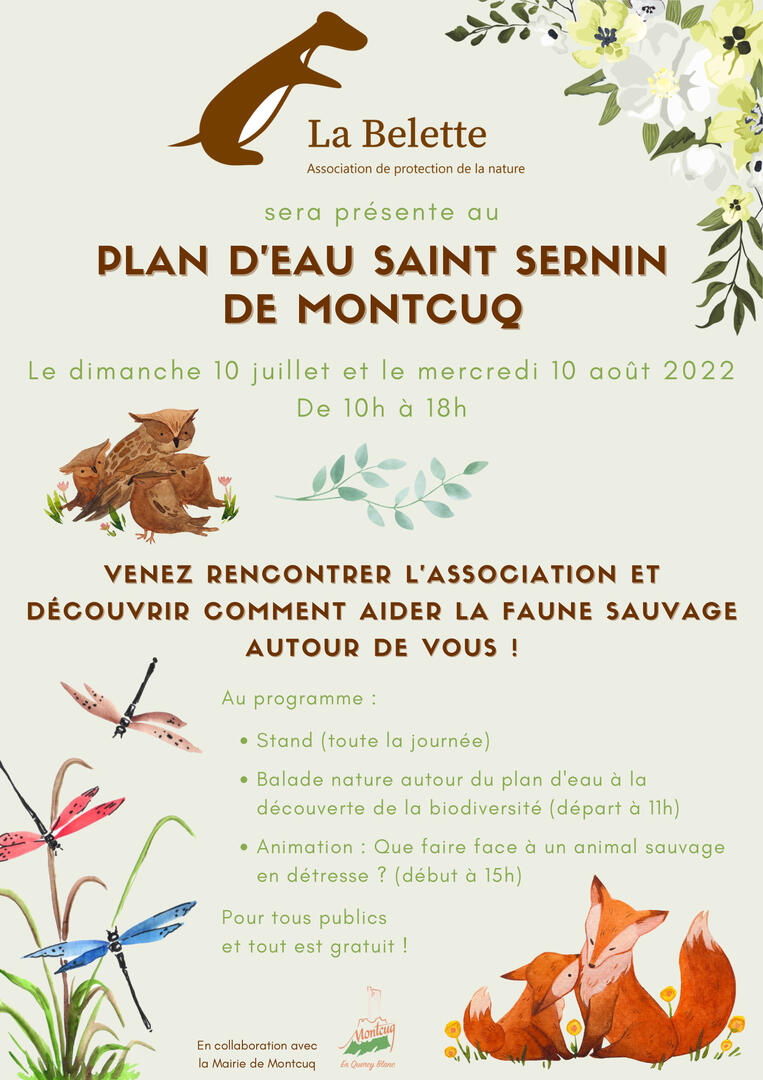 Animations La Belette - Plan d'eau Saint Sernin de Montcuq