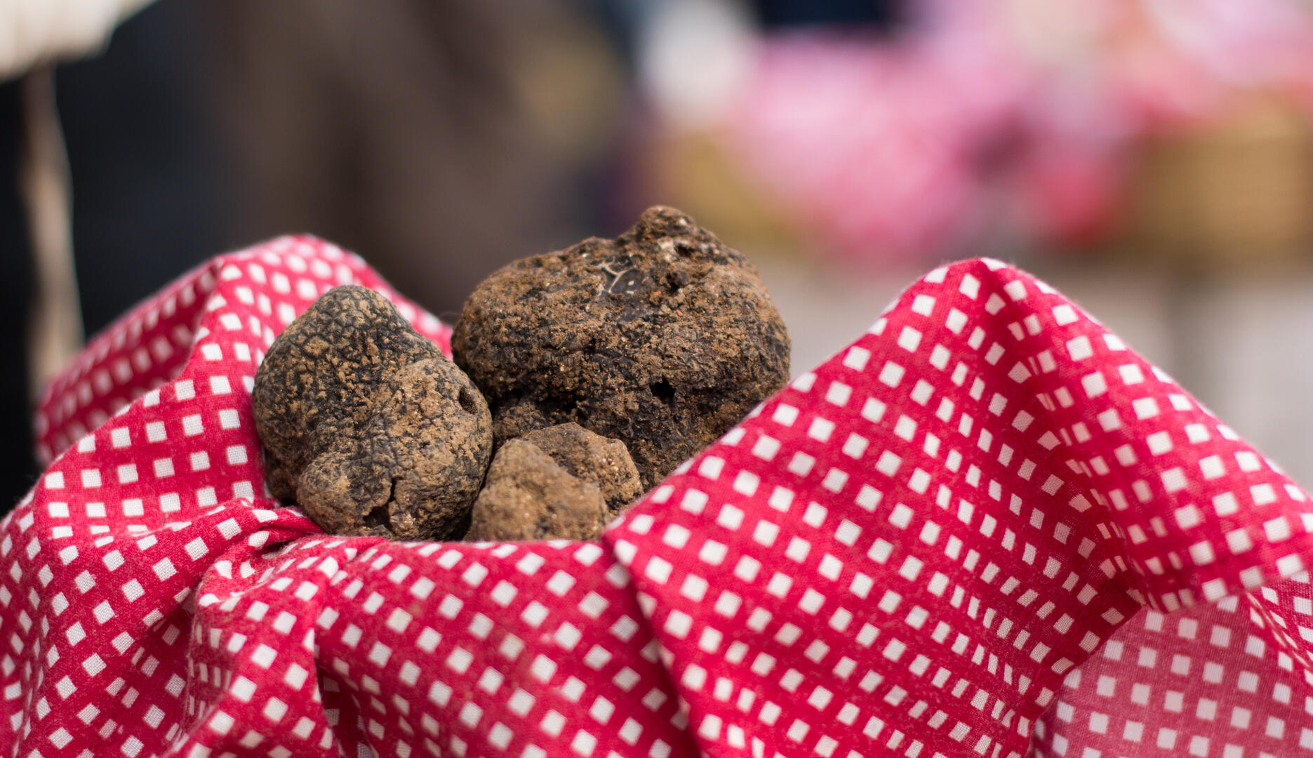 Au Marché aux truffes à Lalbenque