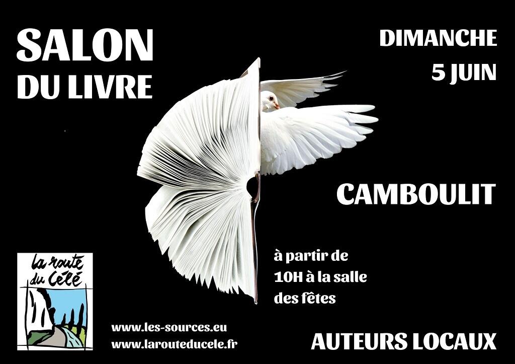 SALON DU LIVRE