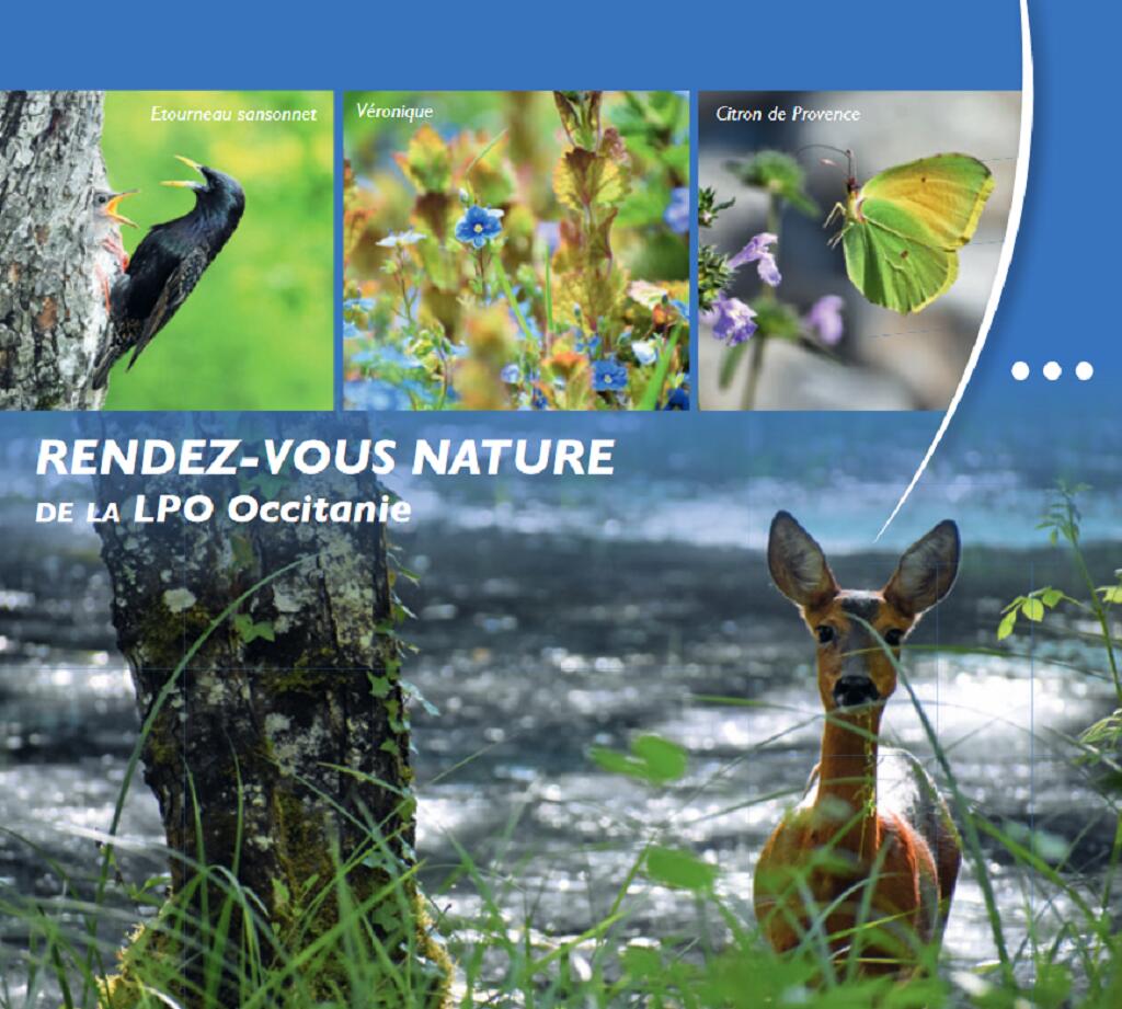 rendez vous nature LPO Lot