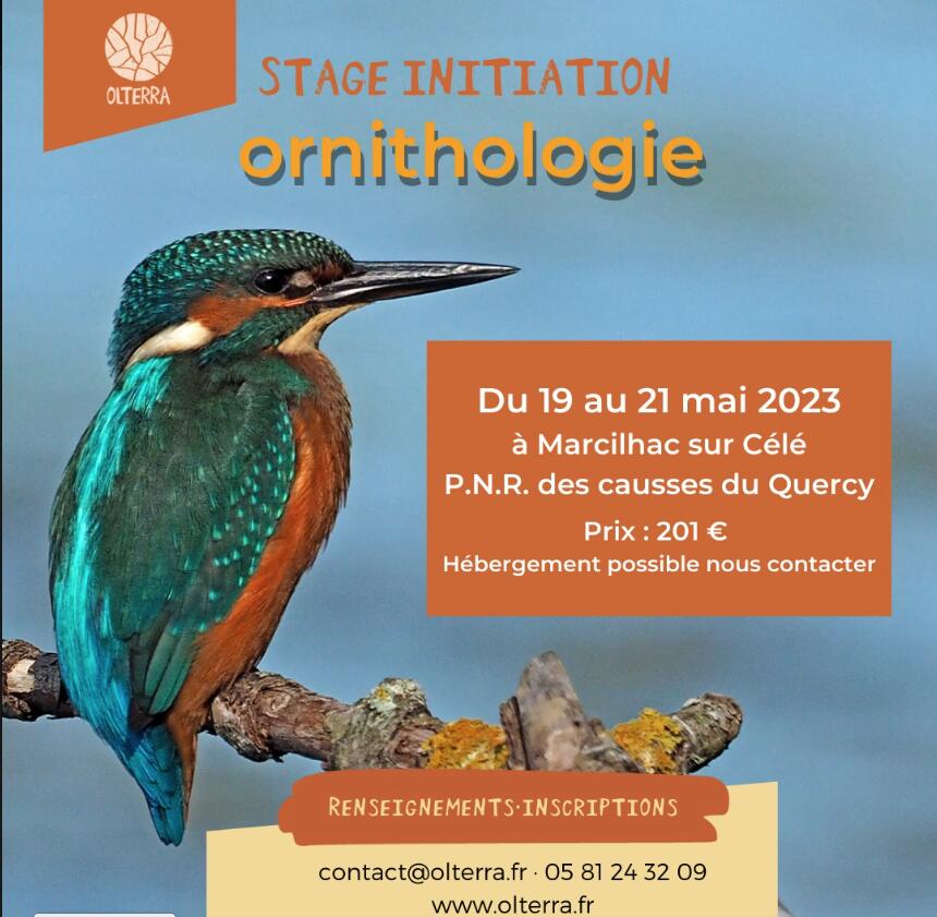 stage ornithologie