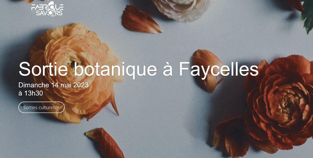 fabrique des savoirs