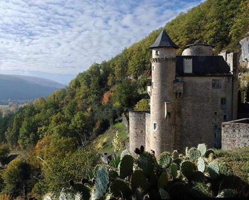 Château de Larroque Toirac 2
