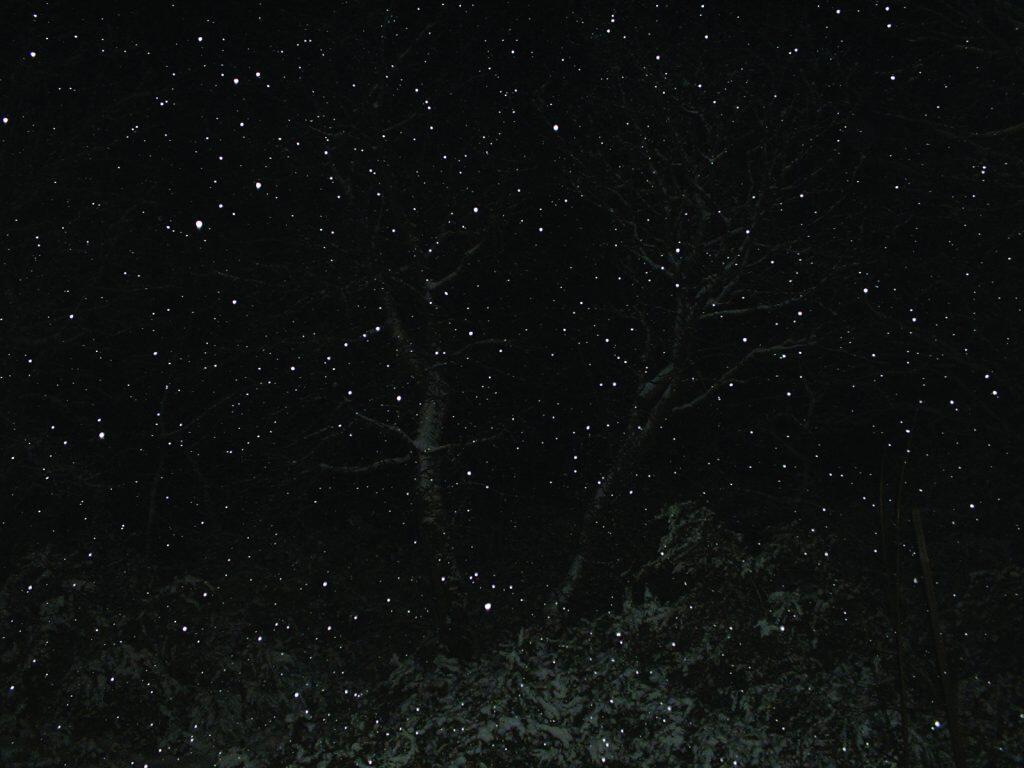 Flocons-de-neige-1024x768