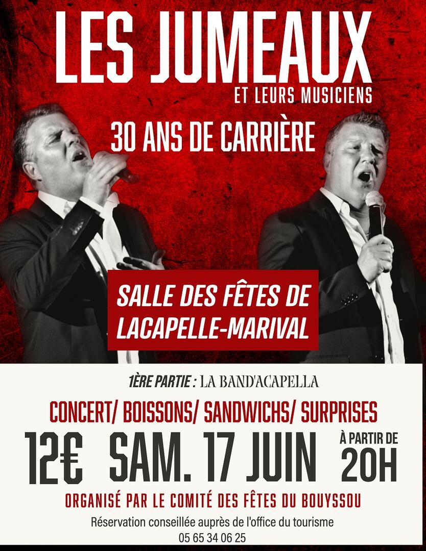 LES JUMEAUX LE BOUYSSOU-1-2