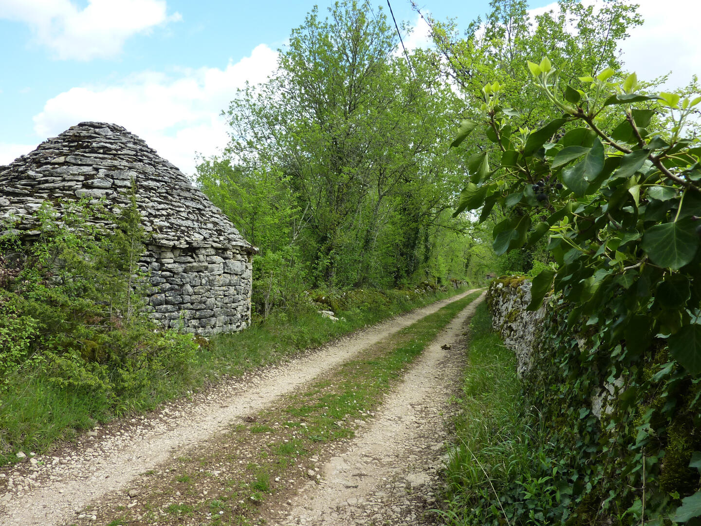 La Plante - Entre cazelles et murets de pierres © Lot Tourisme - C. Sanchez
