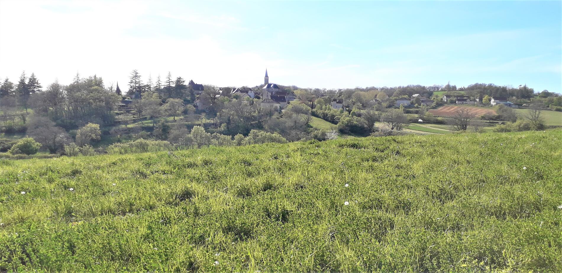 Lauzès