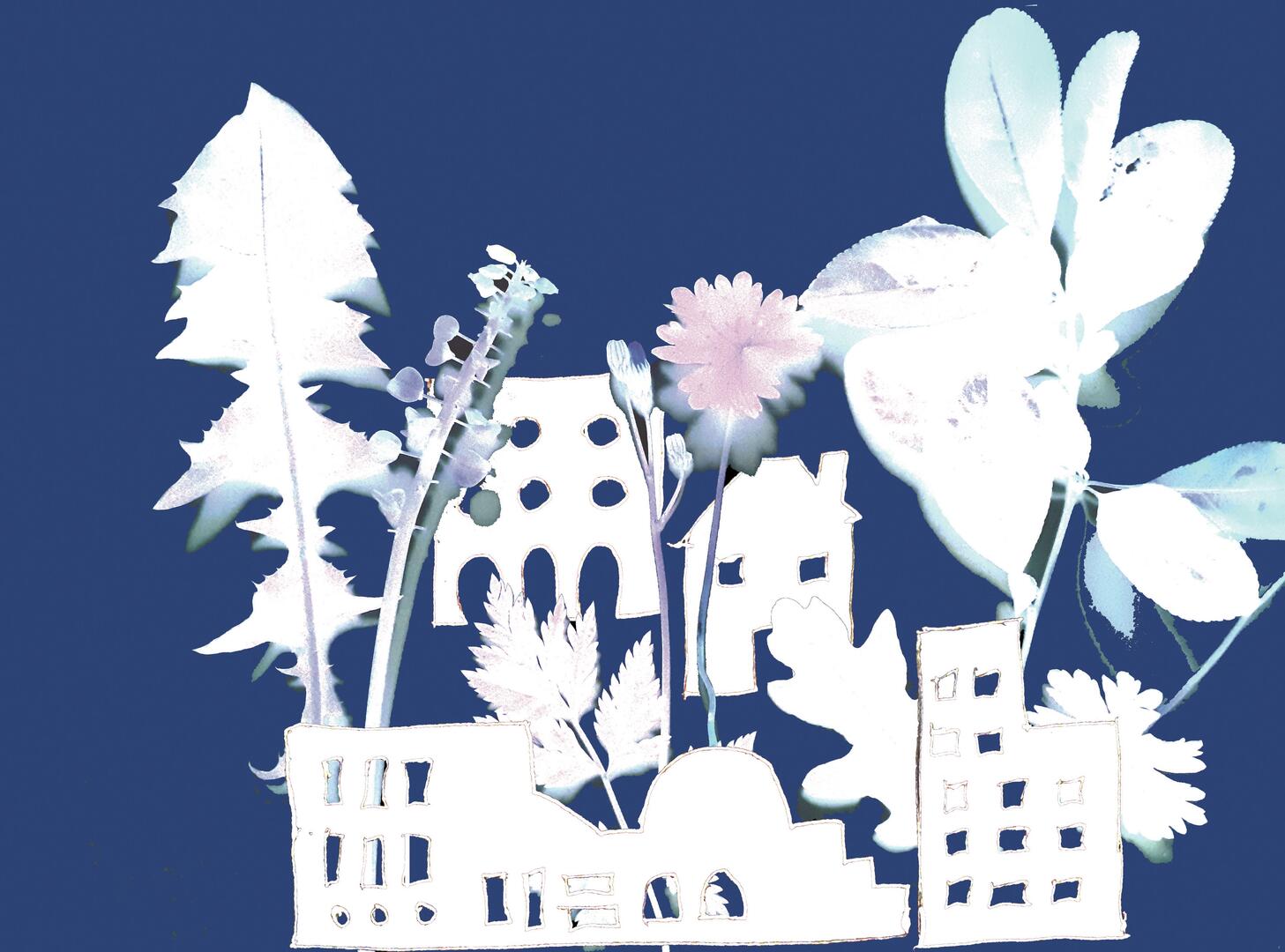 Losch Emilie_atelier cyanotype_ville jardin en bleu et blanc_format paysage