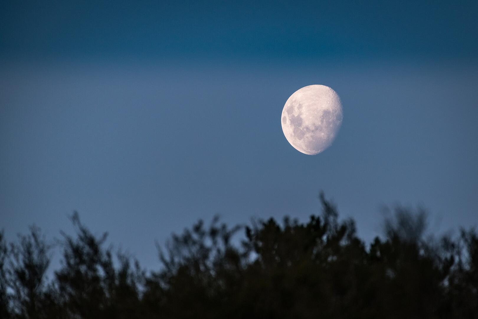 Lune