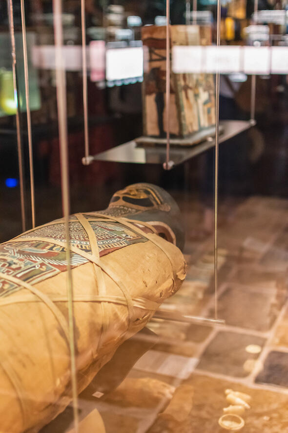 Musee champollion