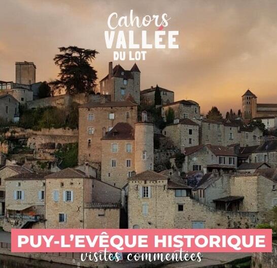 OTCVL-PLE-Visites