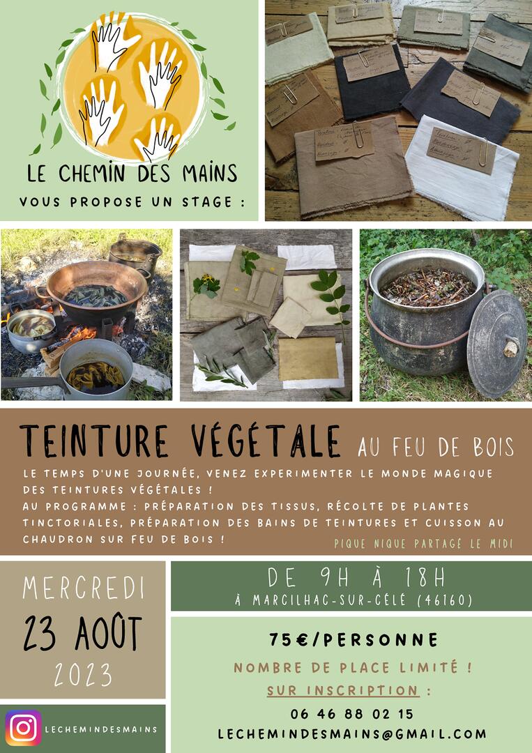 Stage teinture végétale - 23 aout 2023 - 1