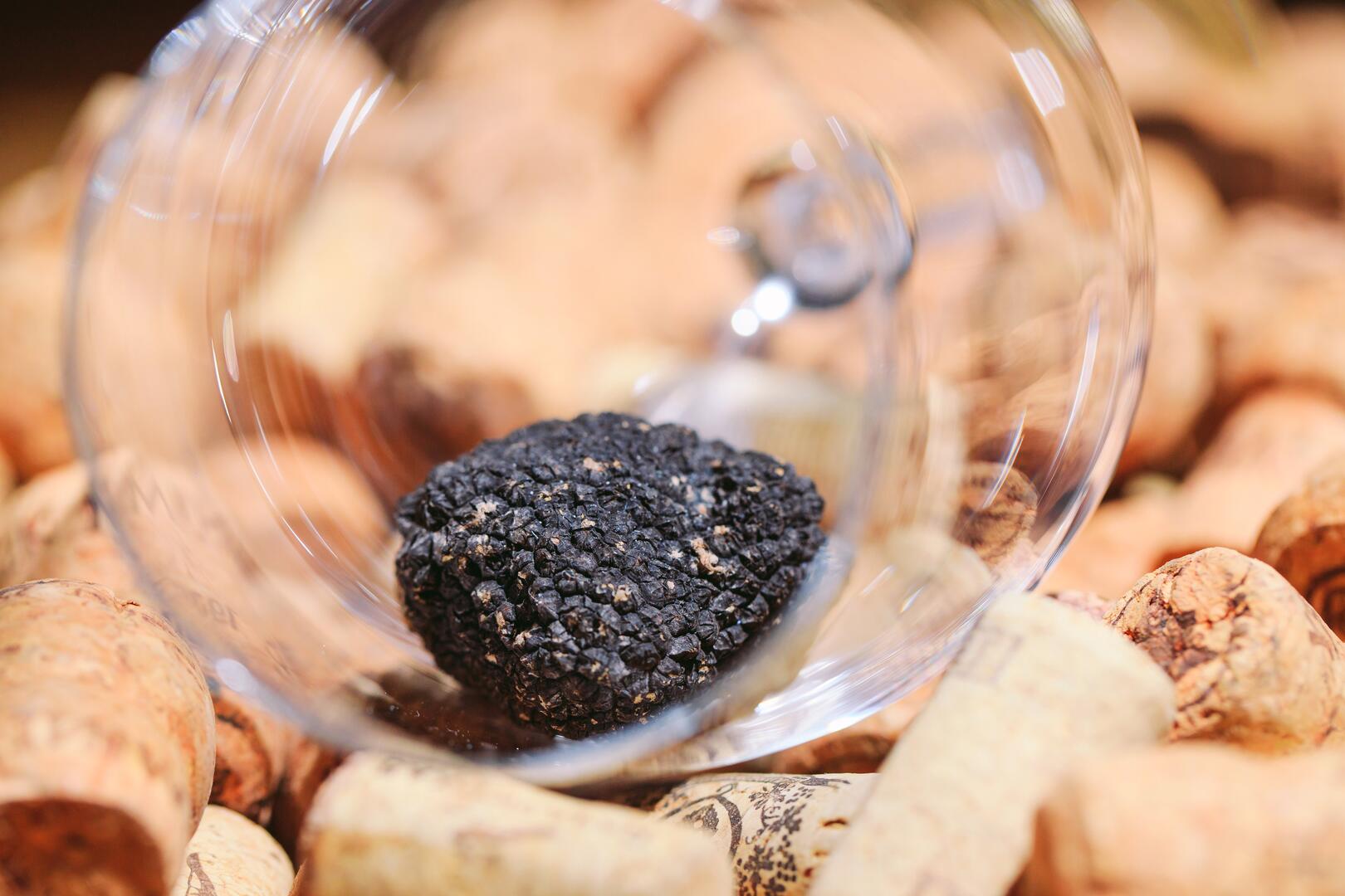 Black Truffle in an empty glass on wine stoppers.