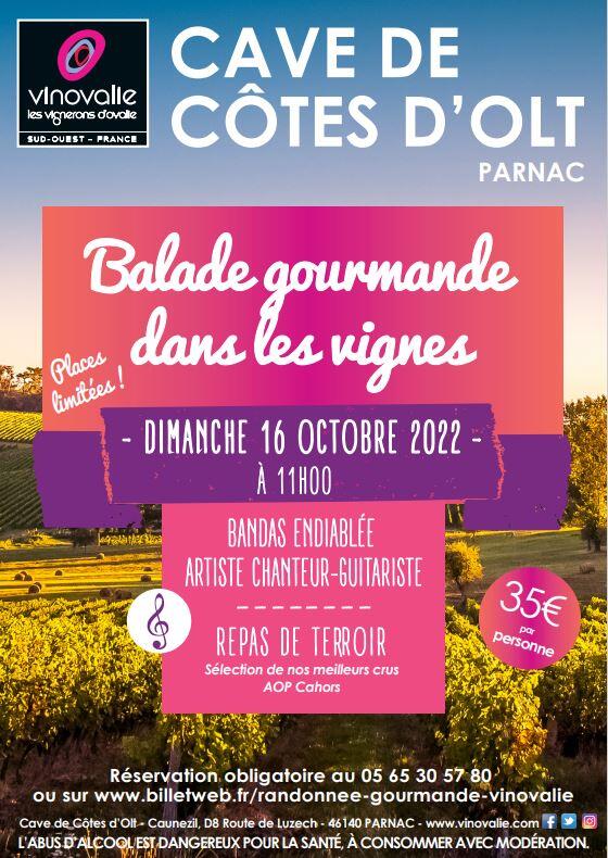 balade gourmande dans les vignes