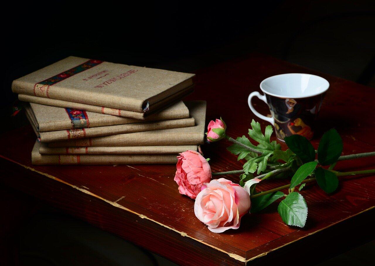 books-g656567b27_1280