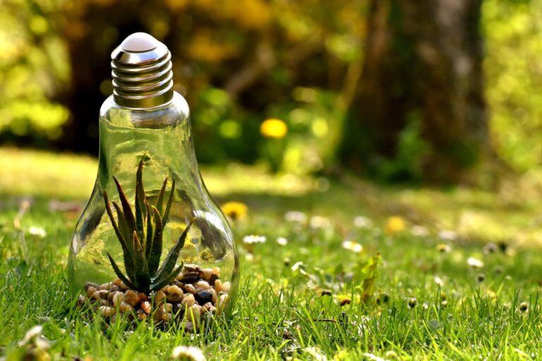 environnement_Pixabay