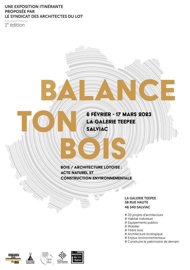 expo balance ton bois ©galerie Teepee
